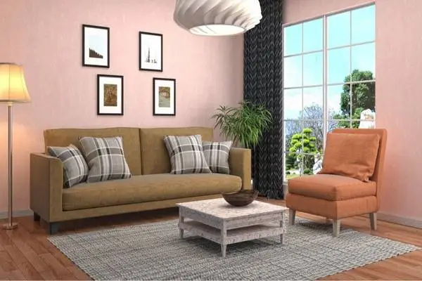 Add a Beautiful Area Rug In Peach Living Room