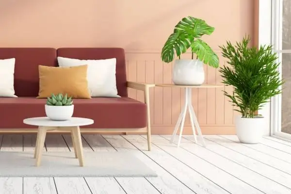 Add a Peach Shiplap For Some Dimension In Living Room