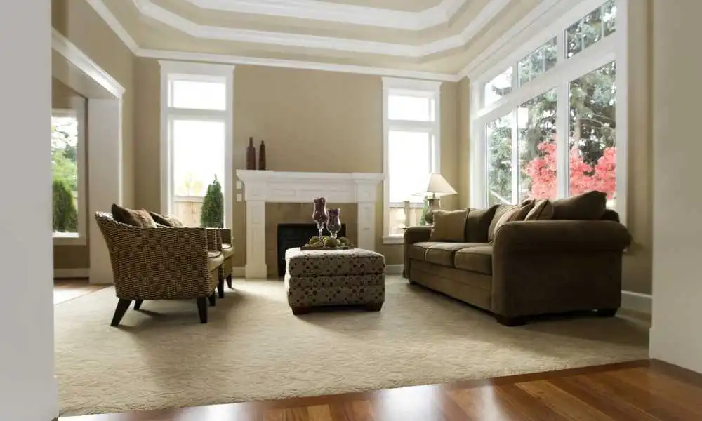 Carpet Ideas For Living Room