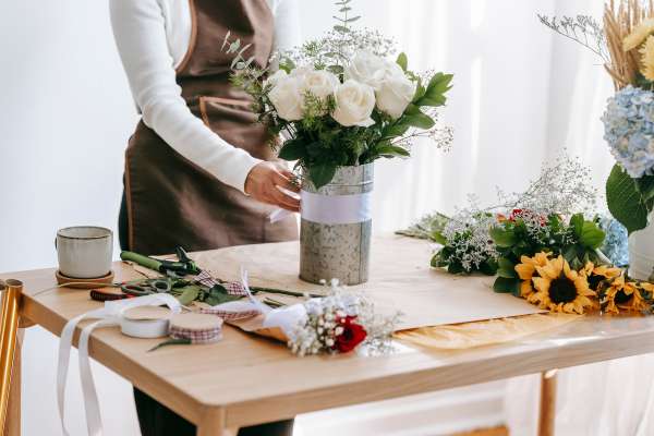 Make A Plan living room  Plants