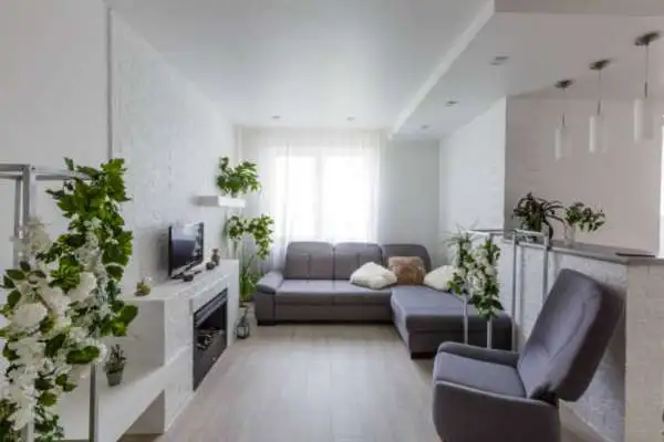 Add A Plant In A Narrow Living Room