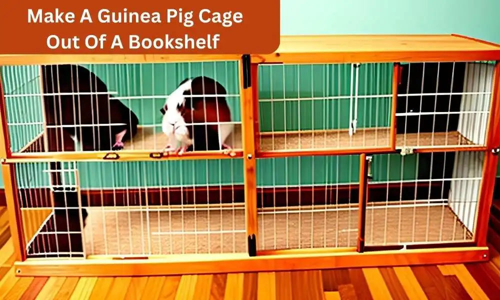 How To Make A Guinea Pig Cage Out Of A Bookshelf