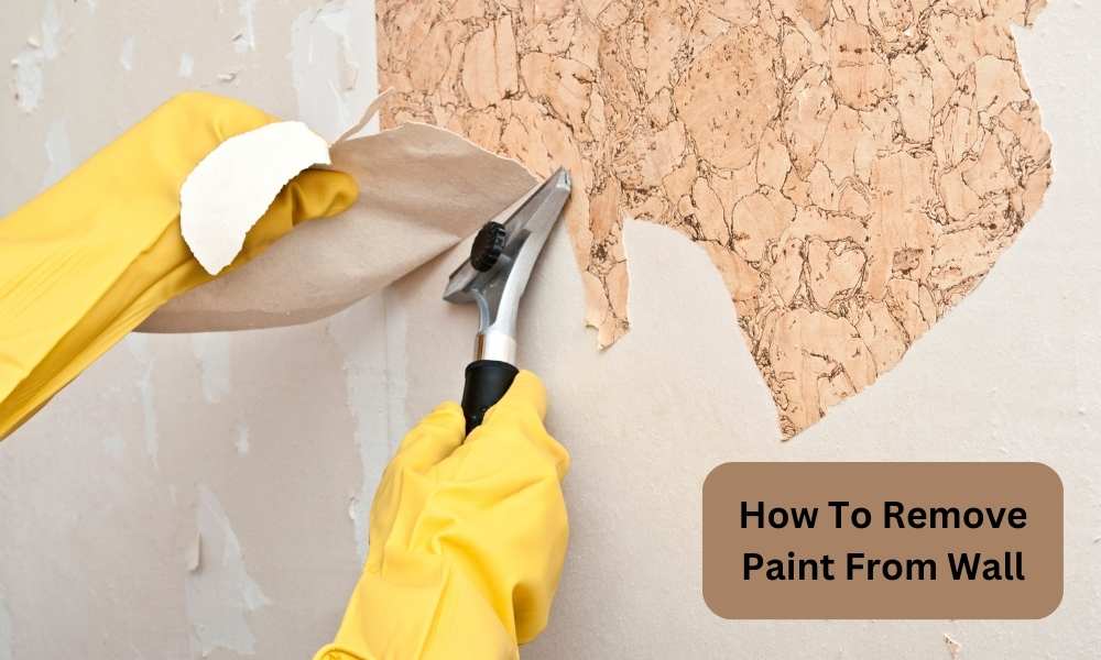 How To Remove Paint From Wall