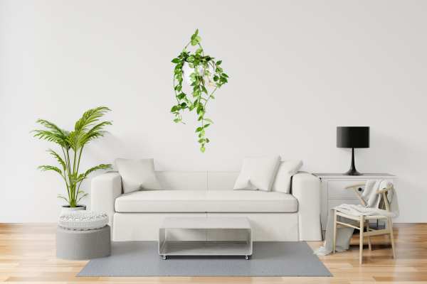 Decor Living Room With Plants Hanging Plants Maximizing Space