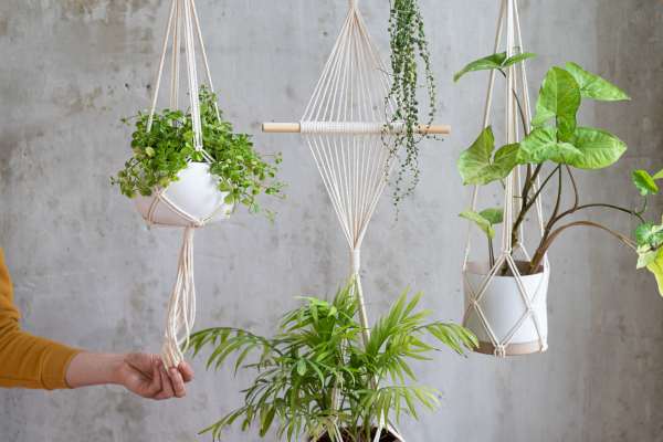 Incorporating Hanging Plants for Dynamic Spaces