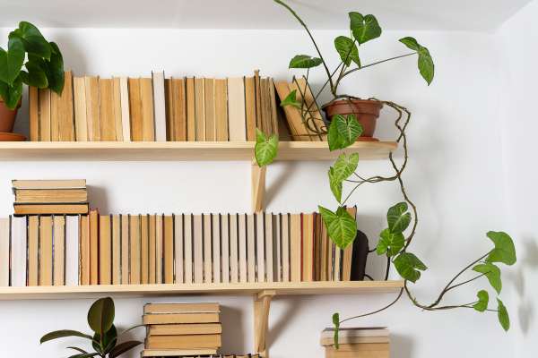 Places To Find Life-Size Bookshelf