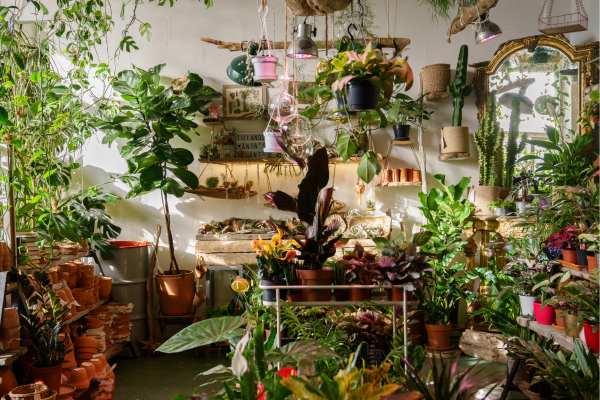 Incorporate Greenery with an Indoor Garden