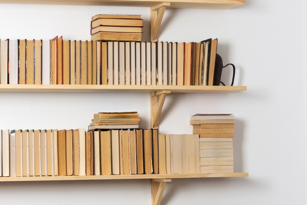 Importance of Bookshelves