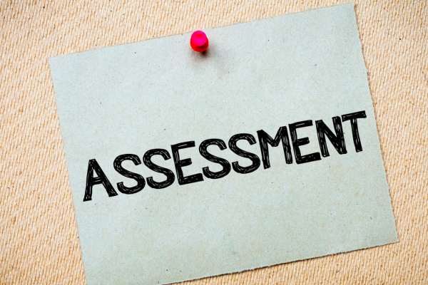 Assessment