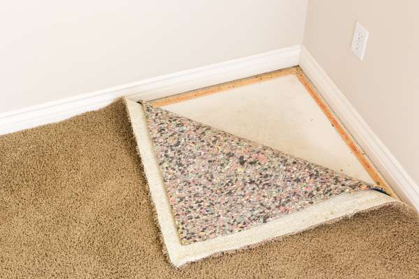 The Importance of Carpet Padding