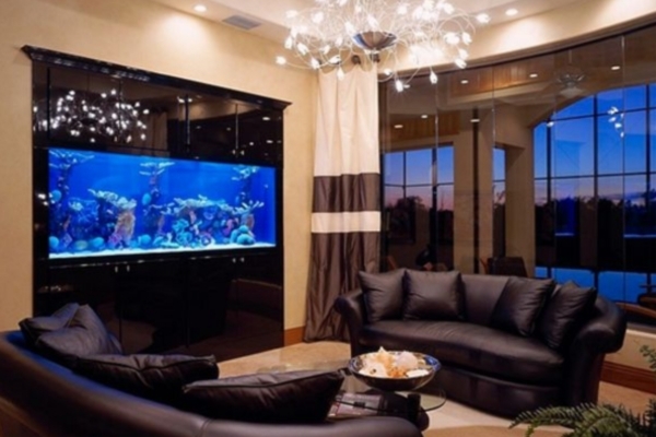 Where to Place Aquarium in Living Room – Best Setup Tips